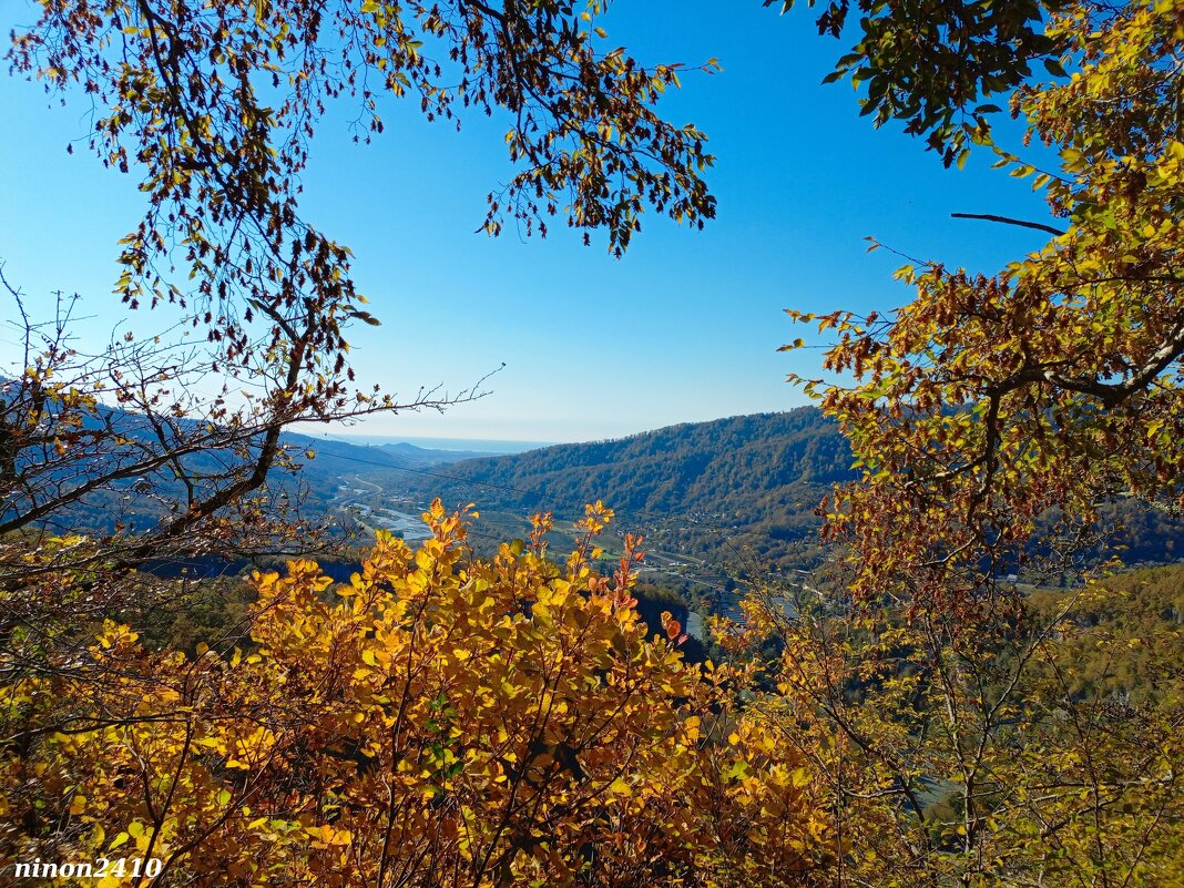 Адлер. Скайпарк - Нина Бутко