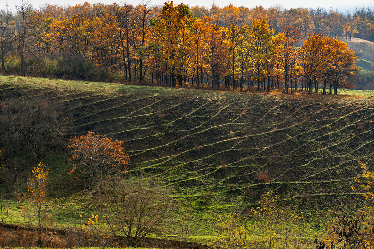 Ноябрь в Краснодарском крае - Игорь Сикорский