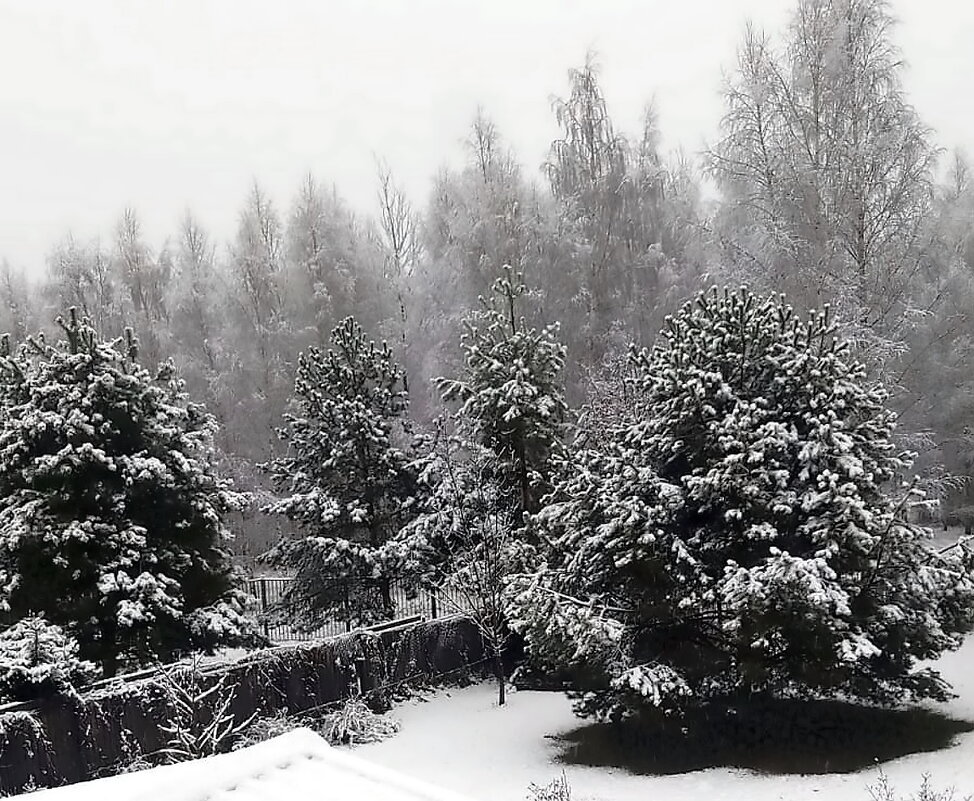 Дачные зарисовки. - Ольга Довженко