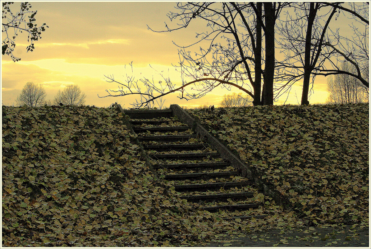 Ушла красота золотой осени... - Aleksandr Gal Ушла красота золотой осени... - Aleksandr Gal