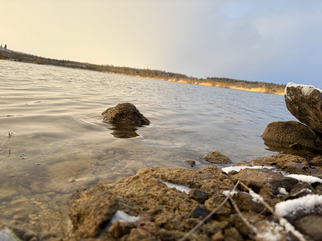У воды - Ольга Савельева 