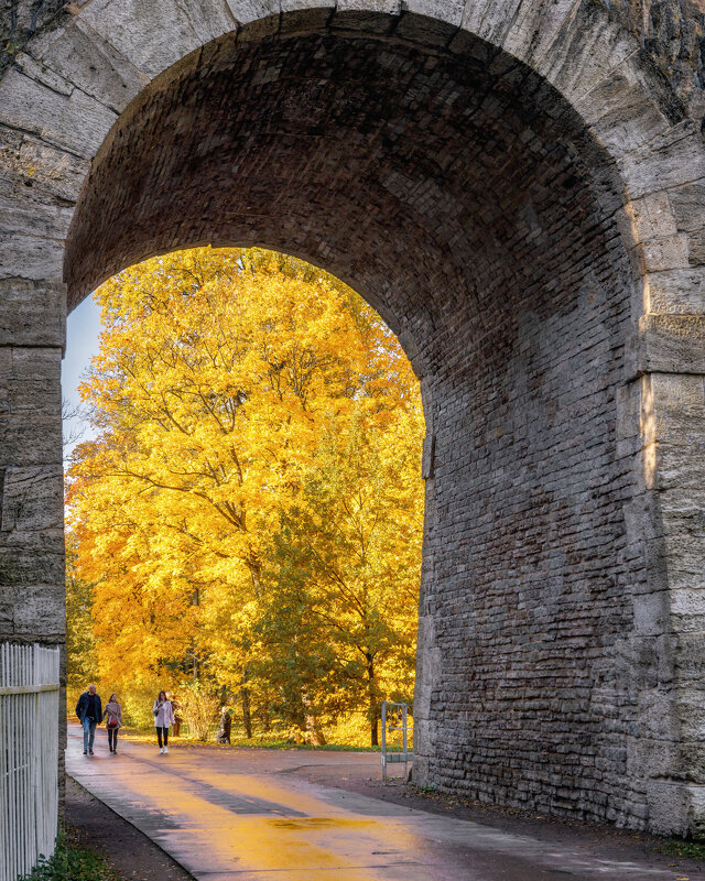 Про Питер - Владимир Колесников