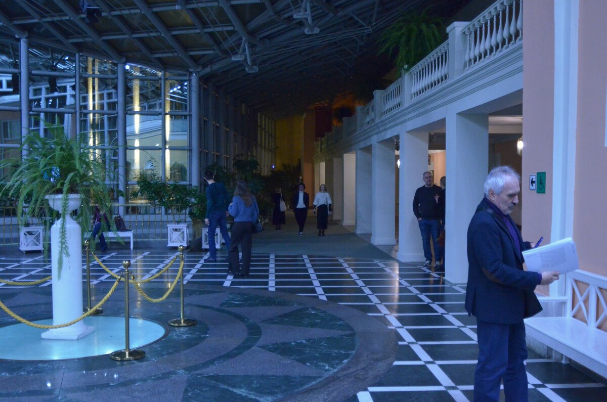 Люди в музее А.С.Пушкина - Наталья Вязигина