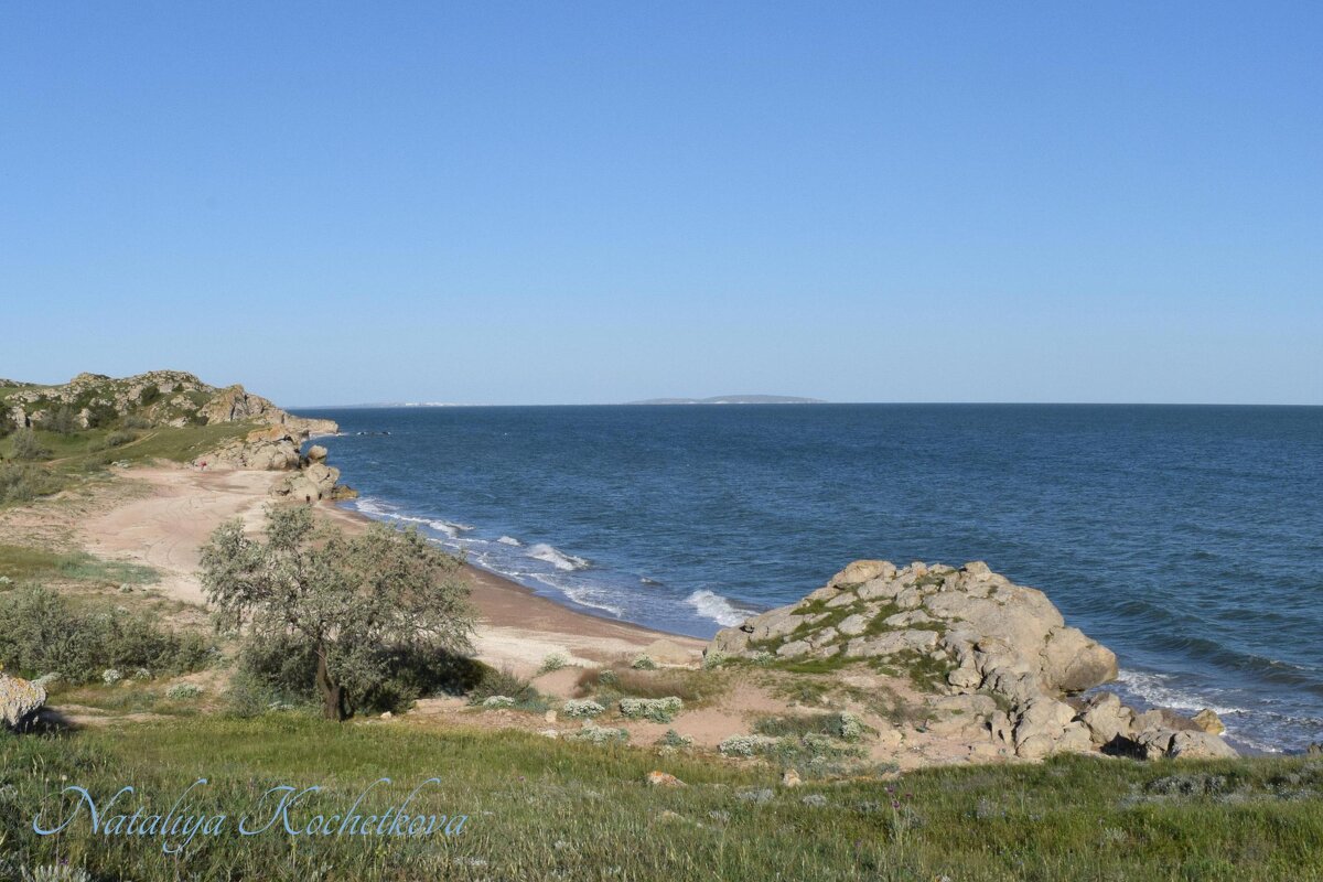 Природа Крыма - Amazing Cosmea