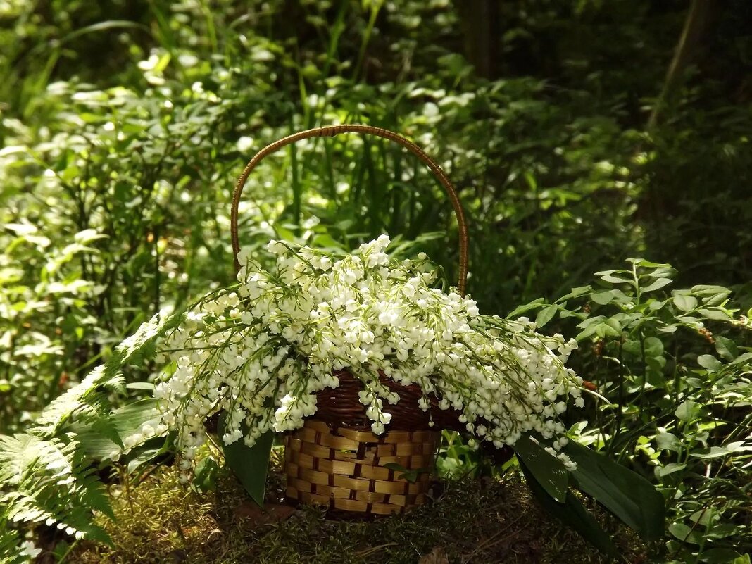 В весеннем лесу! - Нина Андронова