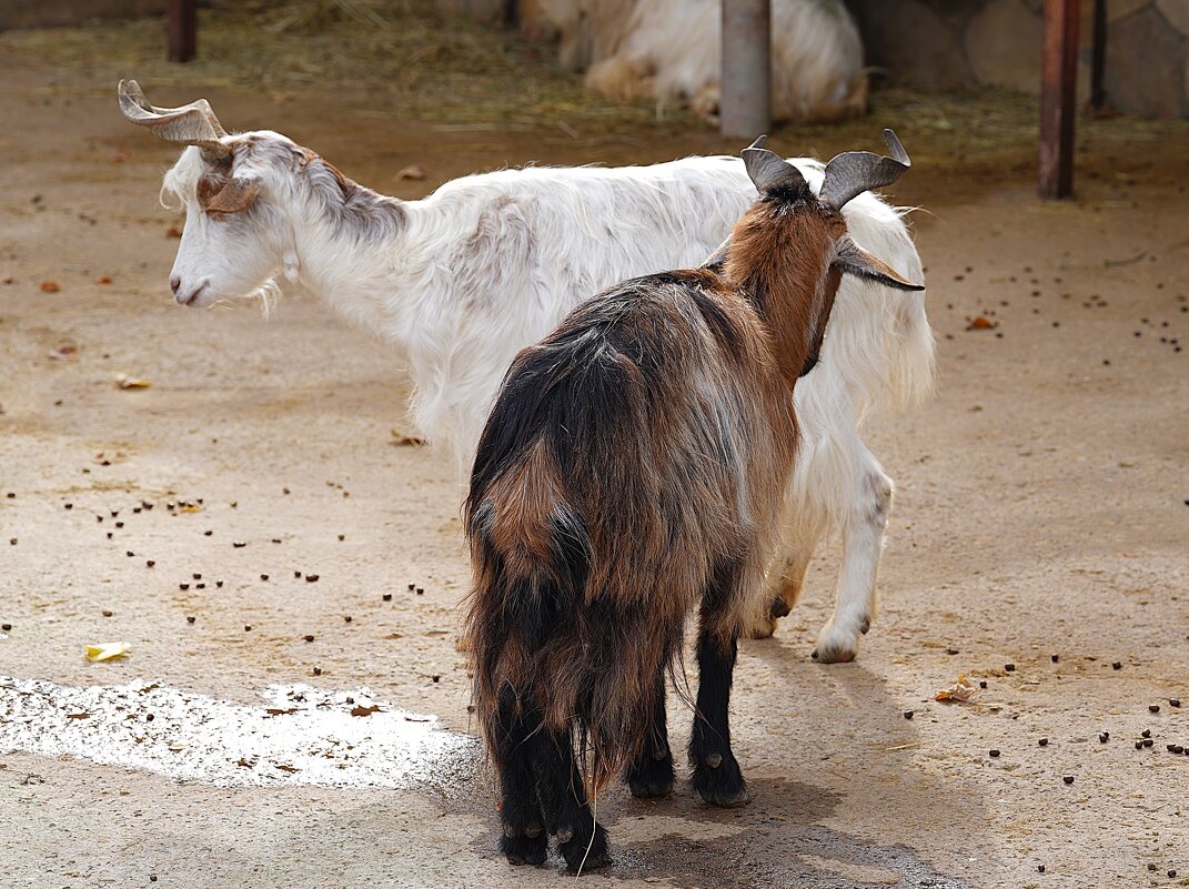 В парке Тайган - Татьяна Тюменка В парке Тайган - Татьяна Тюменка
