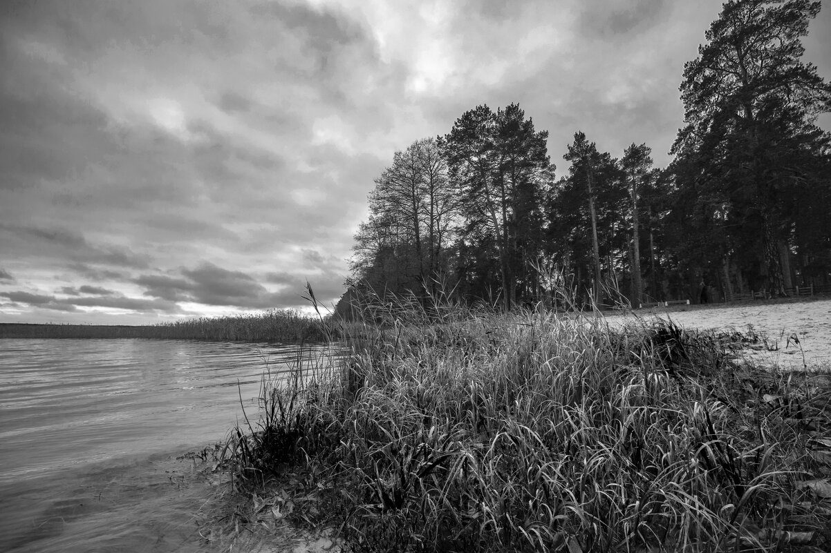 У озера. - Николай 