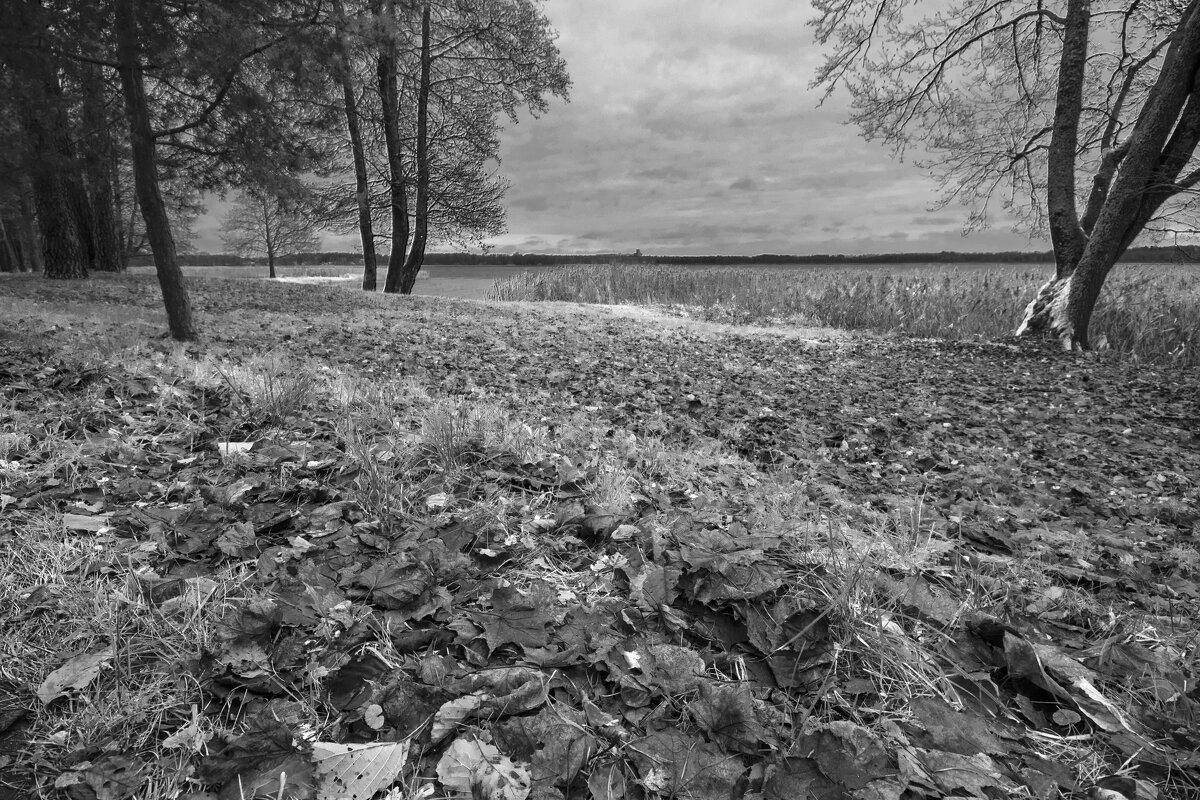 Б/Н - Николай 