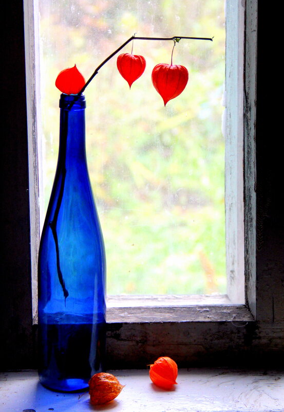 Натюрморт. - жанна нечаева