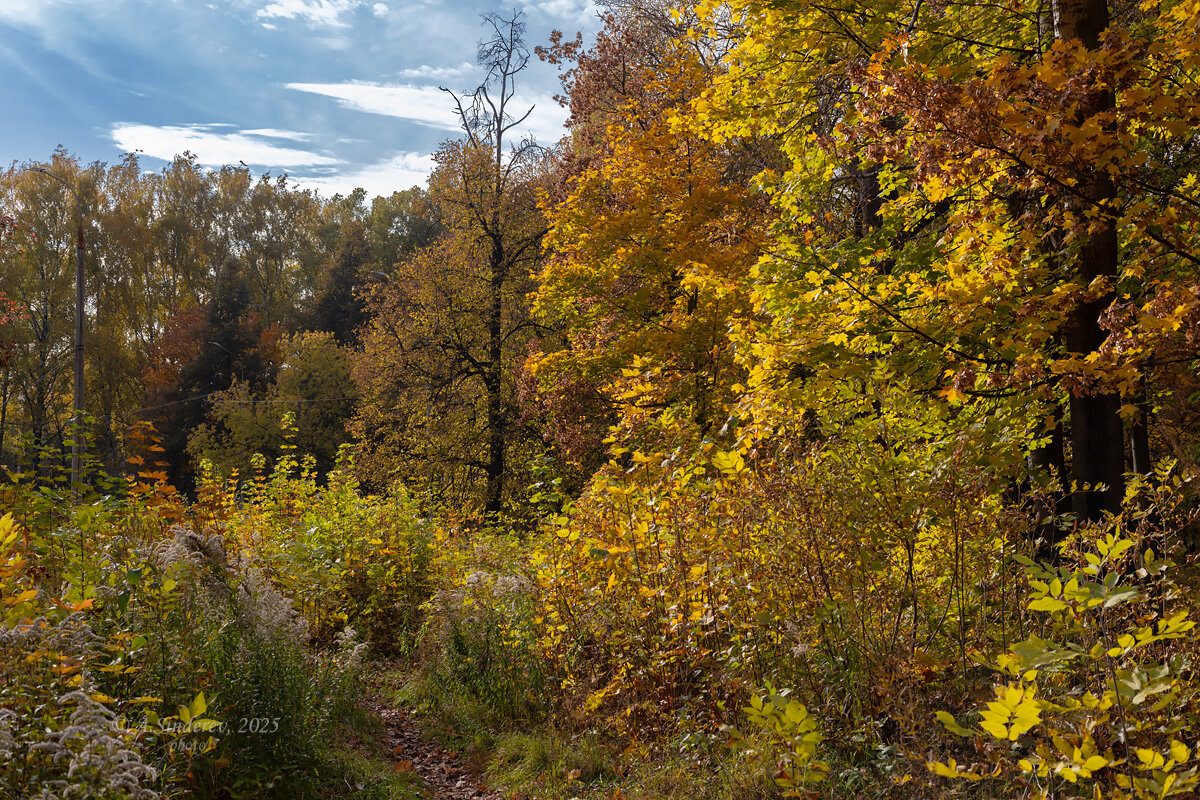 Октябрьский пейзаж - Александр Синдерёв