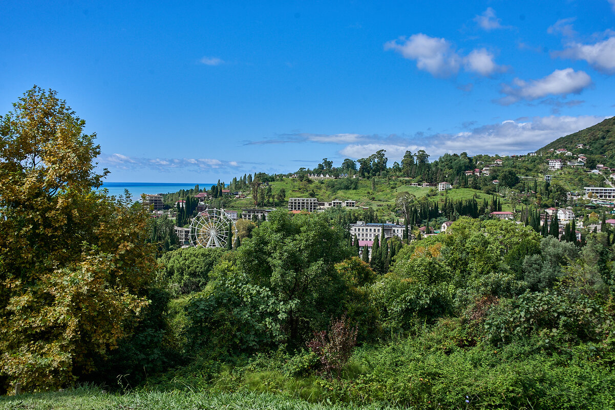 Абхазия Новый Афон - Александр Леонов