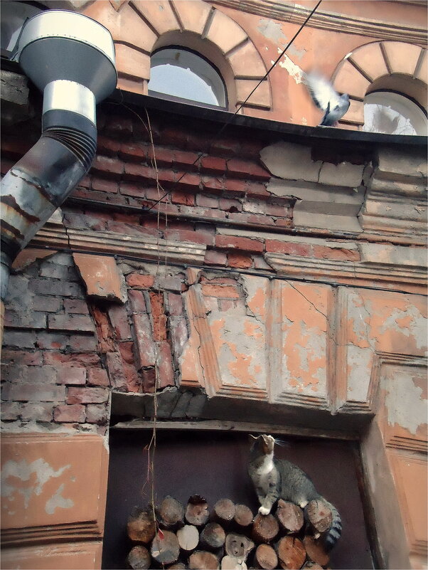 ушёл подлец - sv.kaschuk 