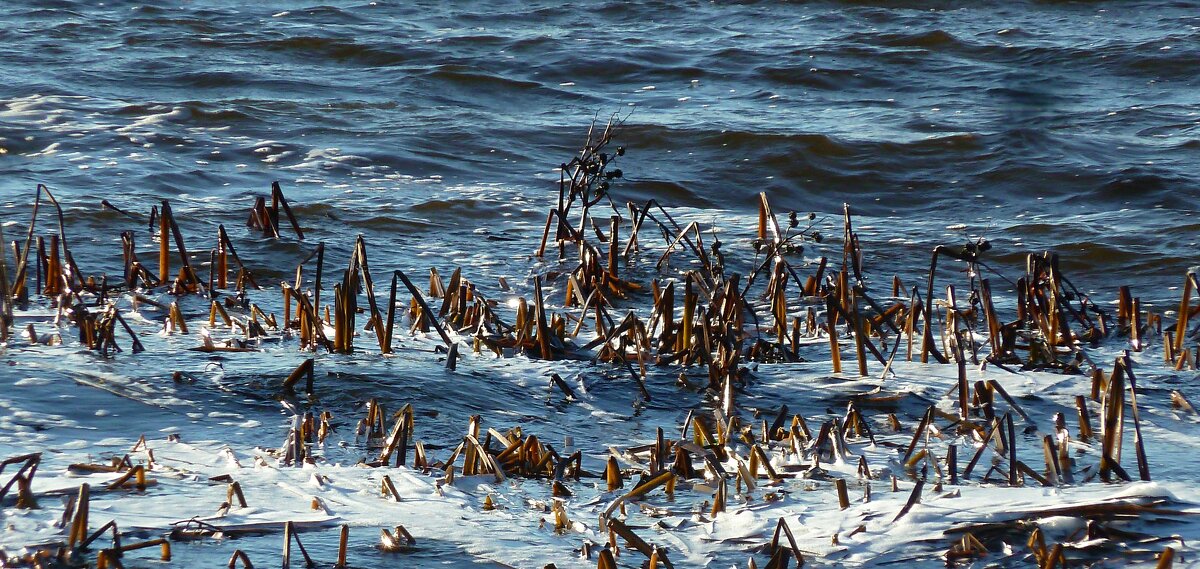 Памперо — холодный штормовой  юго-западный ветер) - Марина 