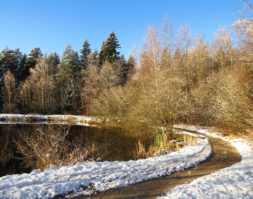 Подготовка к зиме - Андрей Снегерёв