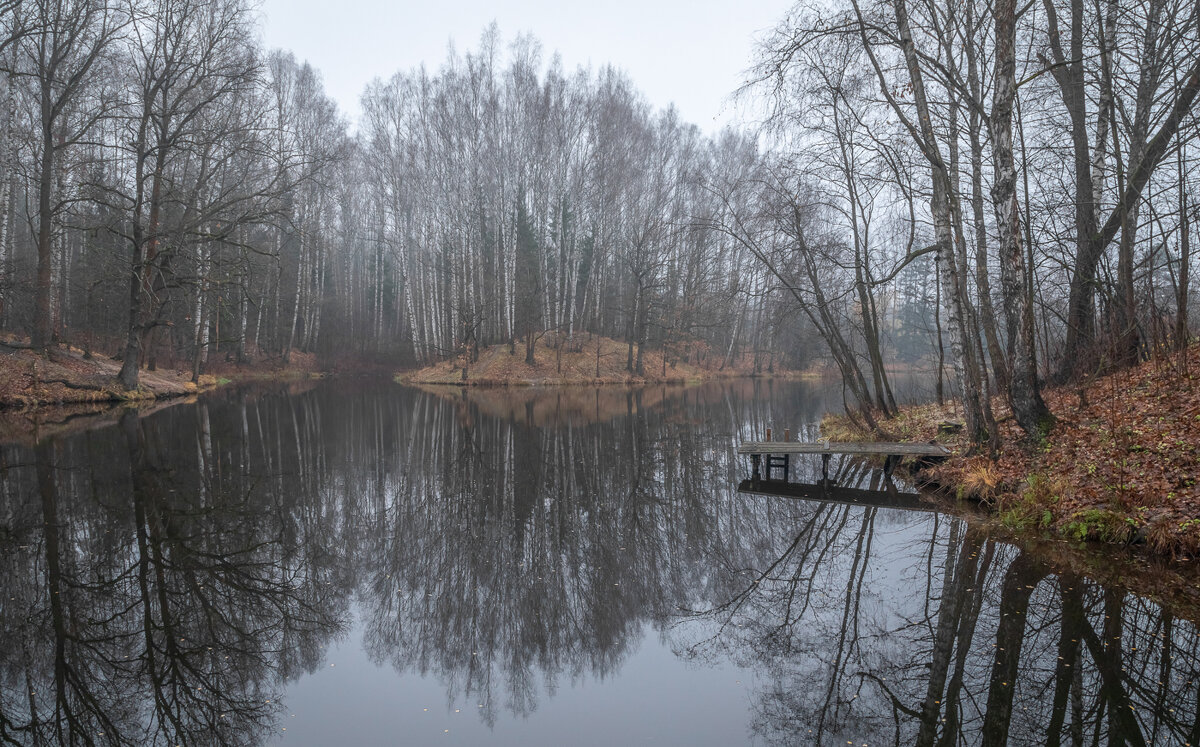 **** - Елизавета .