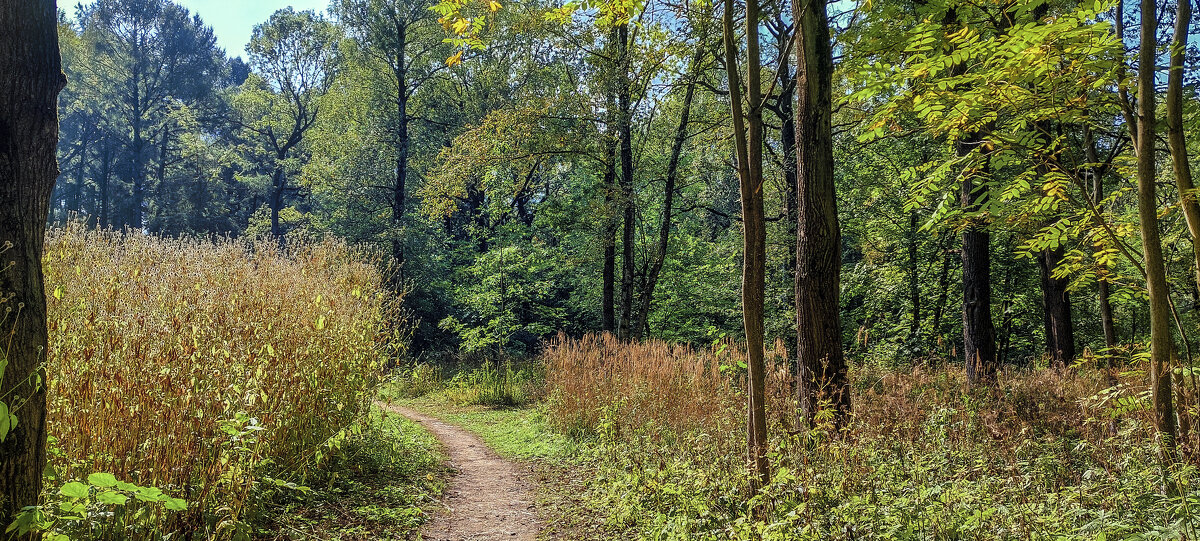 В Ботаническом саду - Денис Масленников