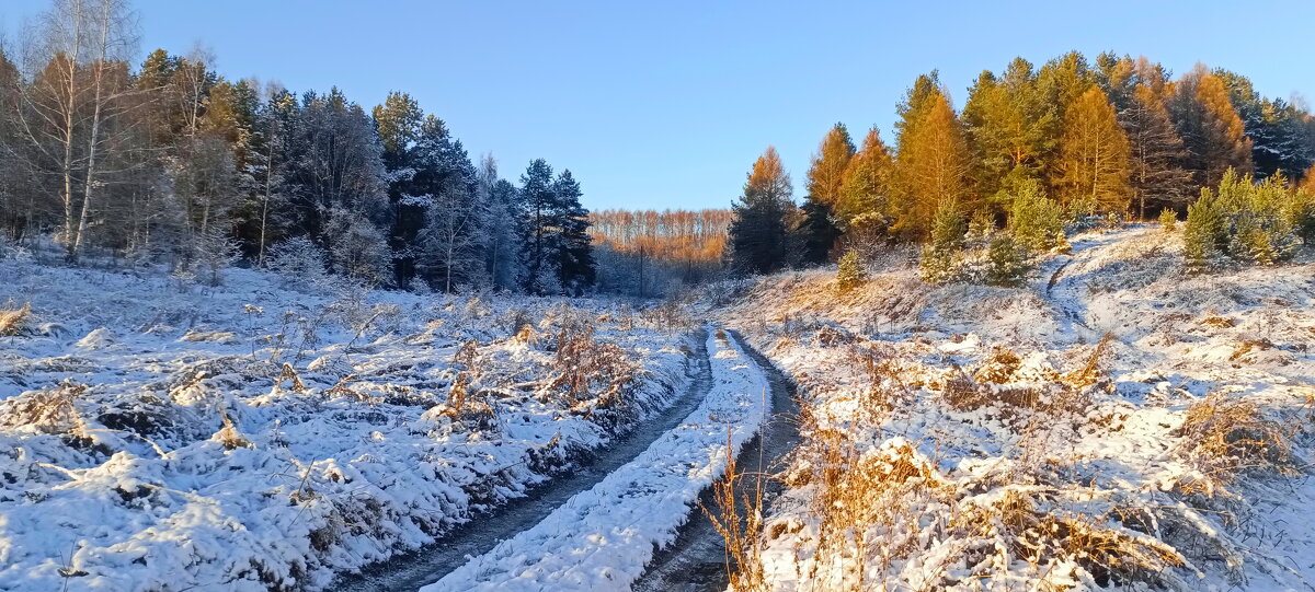 Ноябрь. Первый снег. - Михаил Колосов 