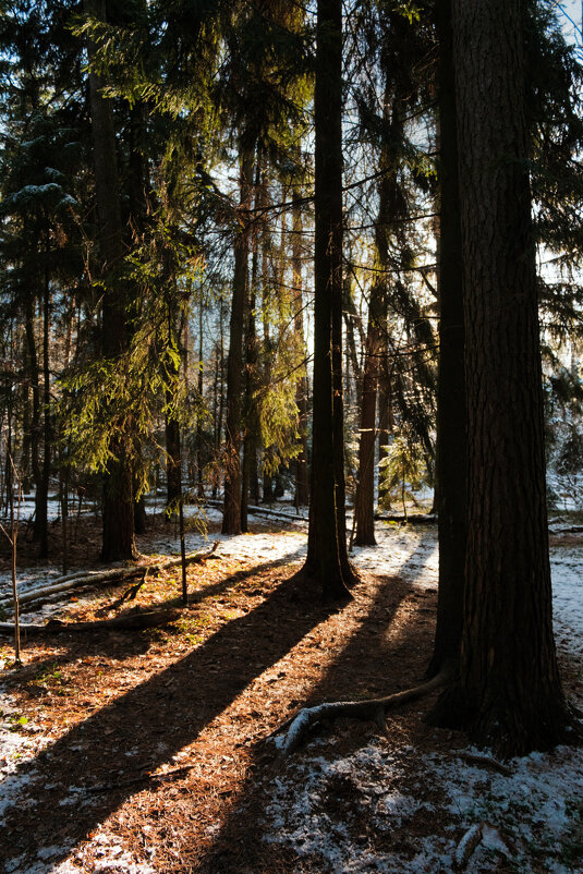 Тени - Dar(k) Life Тени - Dar(k) Life