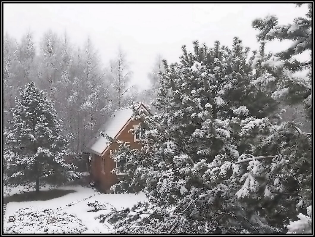 Зима "стучит" в окно - Ольга Довженко