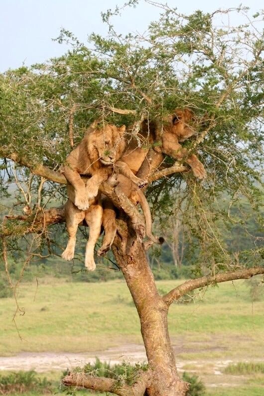 Просто «тусуюсь» - Валерий Кокорев