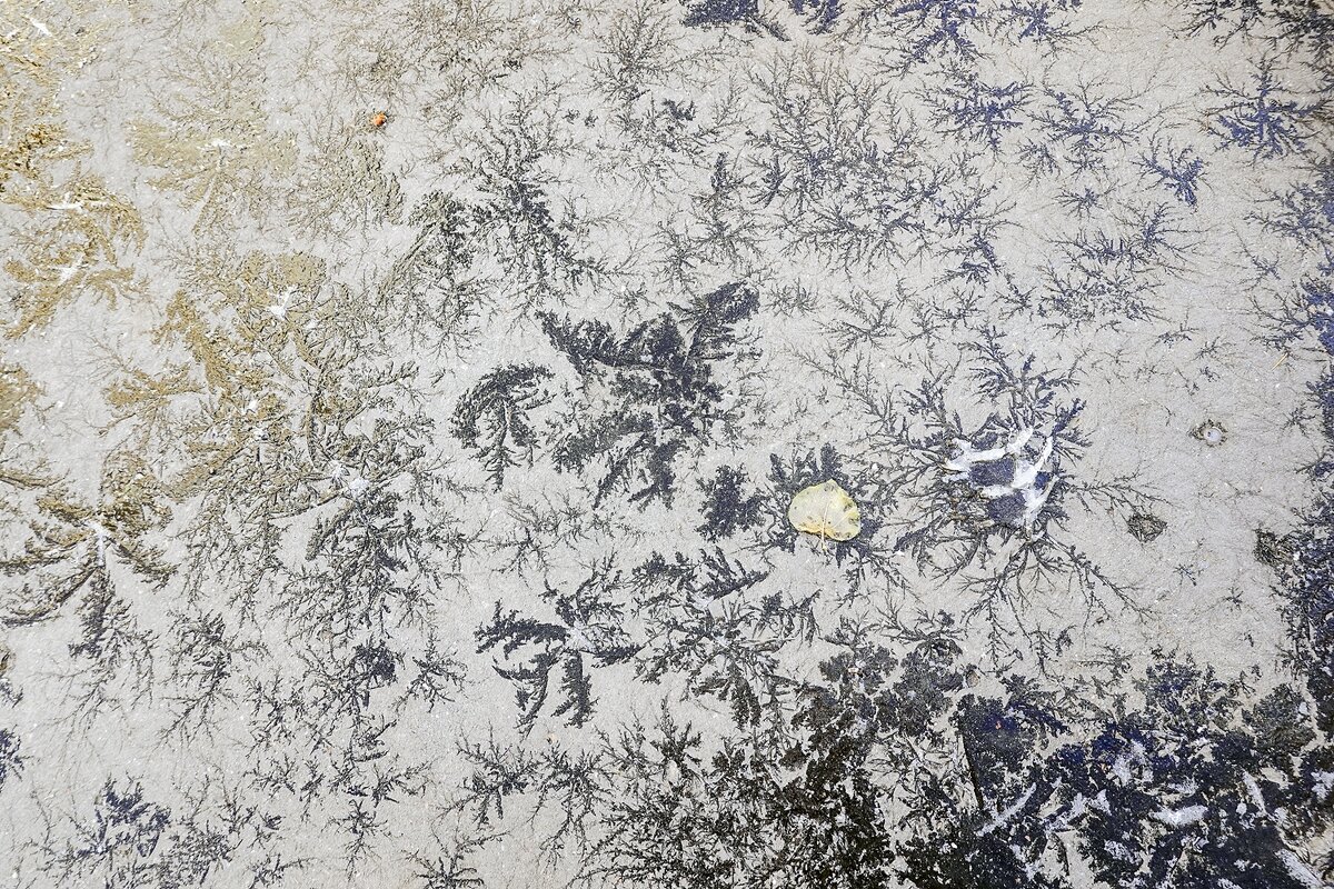 Узоры на асфальте - Валерий Иванович