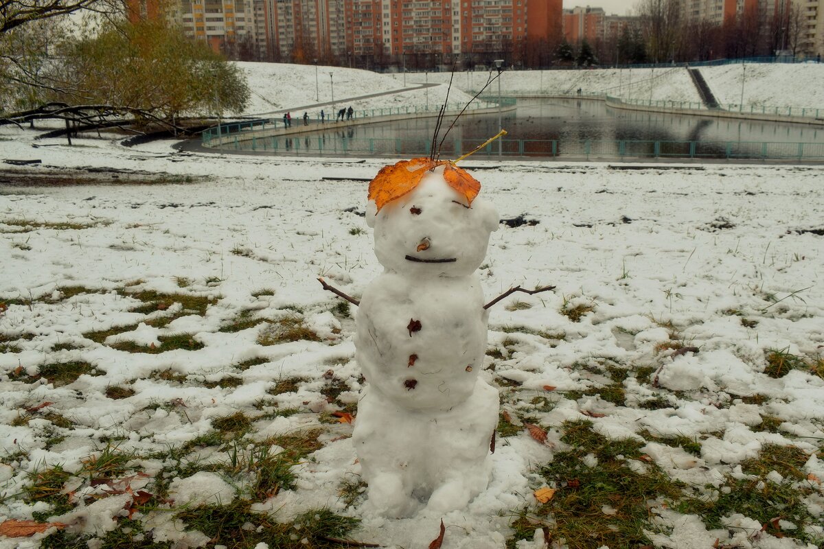 Одноглазый снеговик неожиданно возник. - Татьяна Помогалова