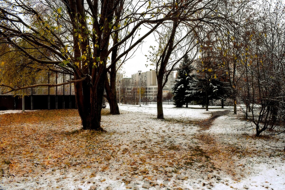 Дружно в воздухе кружат листопад и снегопад.. - Татьяна Помогалова Дружно в воздухе кружат листопад и снегопад.. - Татьяна Помогалова