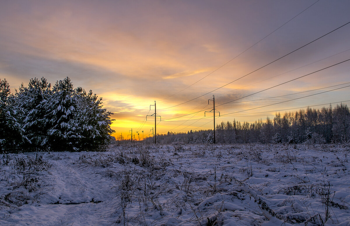 ЛЭП на рассвете. Неожиданно пришла зима - Сергей Цветков