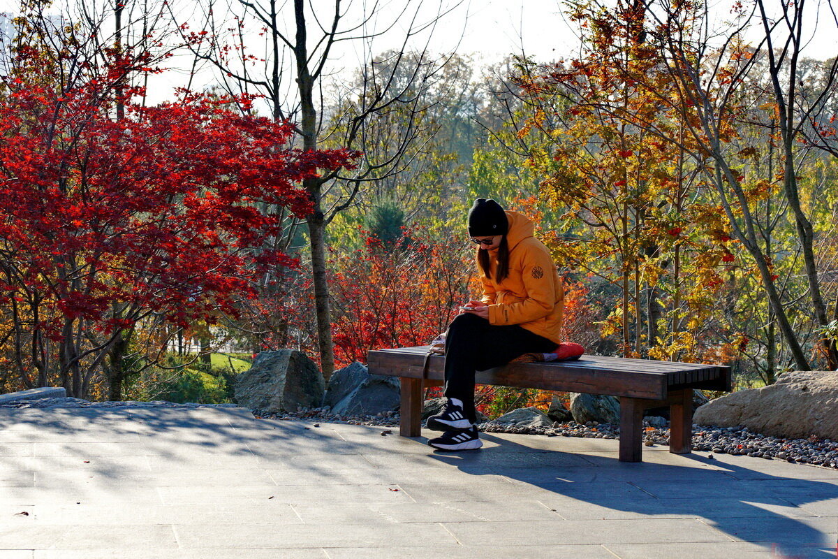 В Японском саду... Краснодар - Николай Саржанов