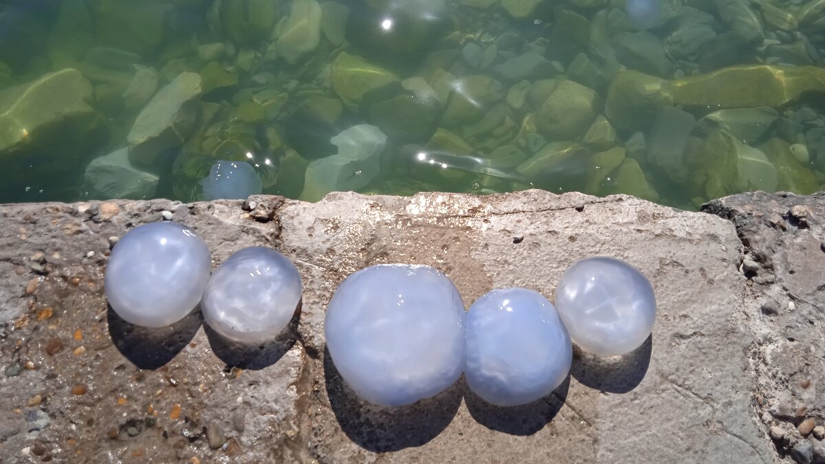 Новороссийск - Елена Шаламова Новороссийск - Елена Шаламова