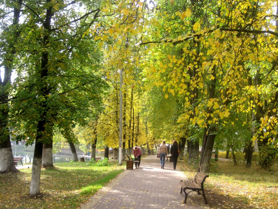 Осенью золотой - Елена Семигина