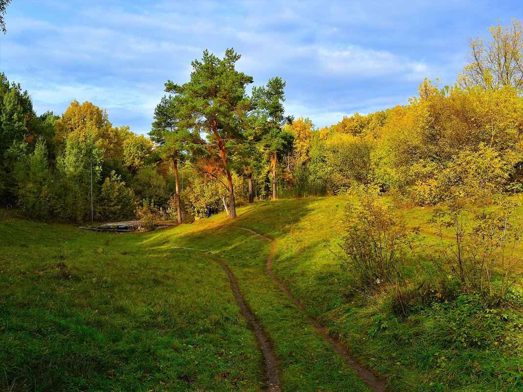 Новочебоксарск. Тропинка в овраге Ельниковской рощи осенью. - Пётр Чернега