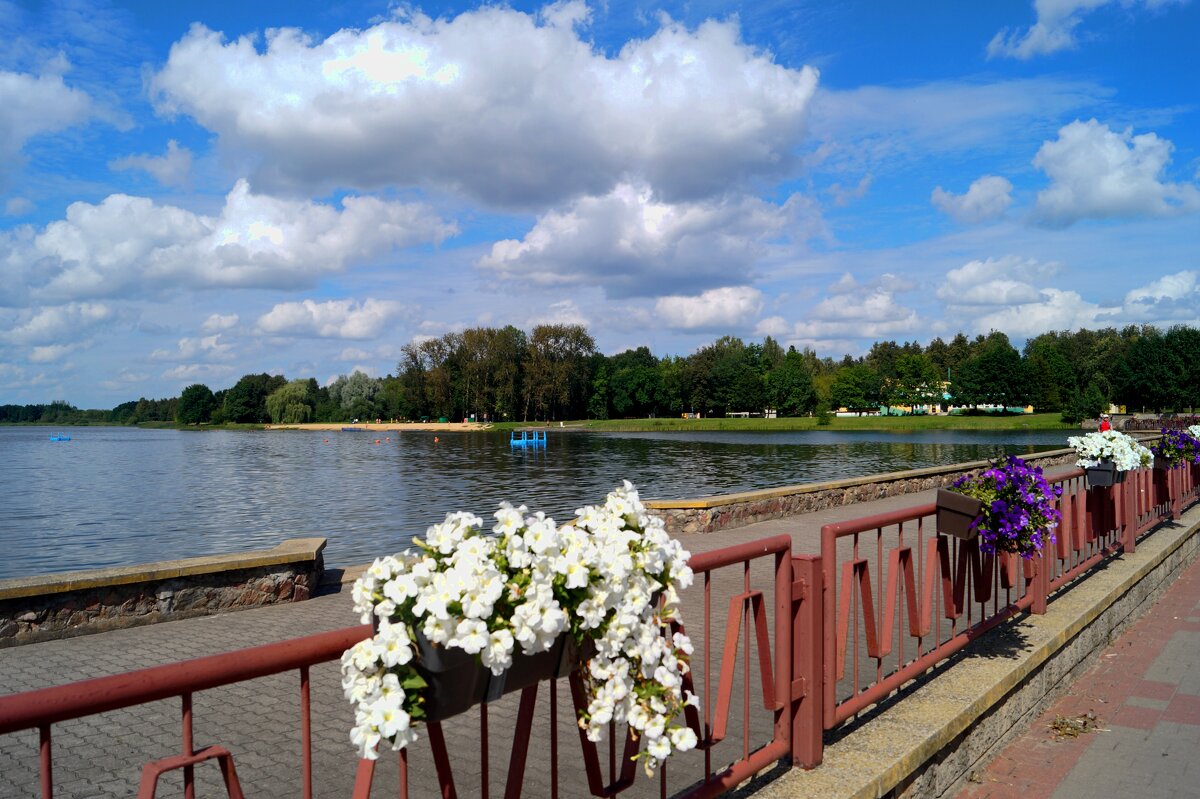Лида. Городское озеро - Gal` ka Лида. Городское озеро - Gal` ka