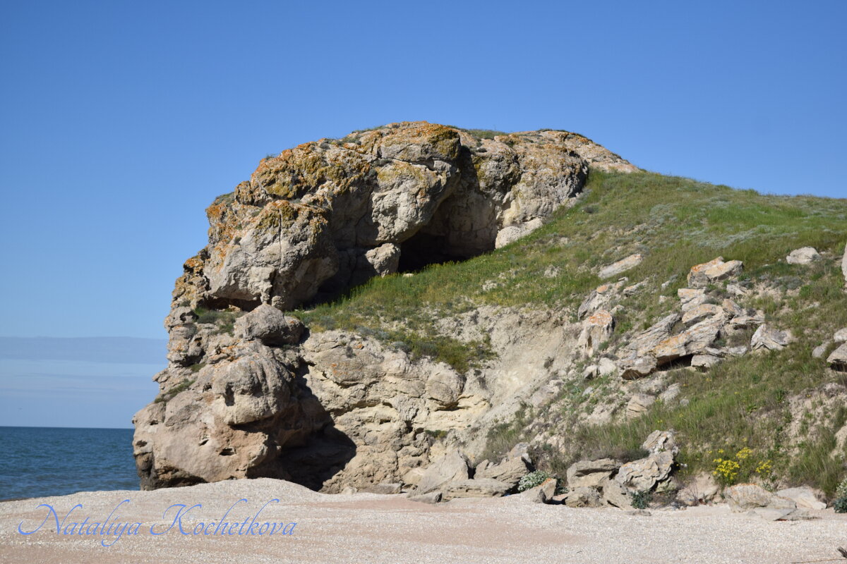 Природа Крыма - Amazing Cosmea