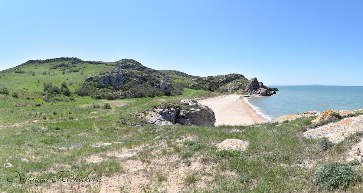 Природа Крыма - Amazing Cosmea