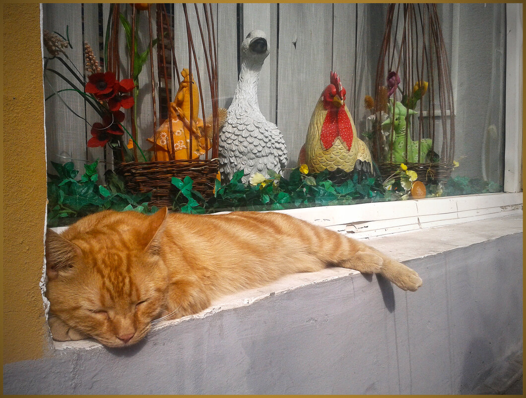 Охрана. - Александр. AVG100 ---