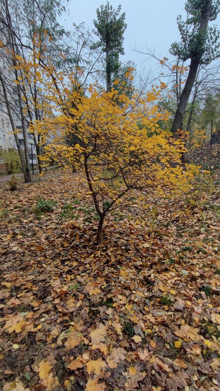 ,,, - Сергей Тимоновский ,,, - Сергей Тимоновский