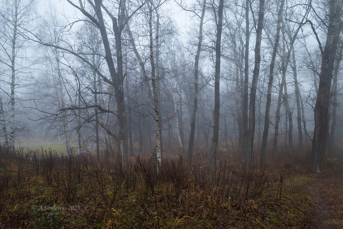Ноябрь шепчет сквозь туман - Александр Синдерёв