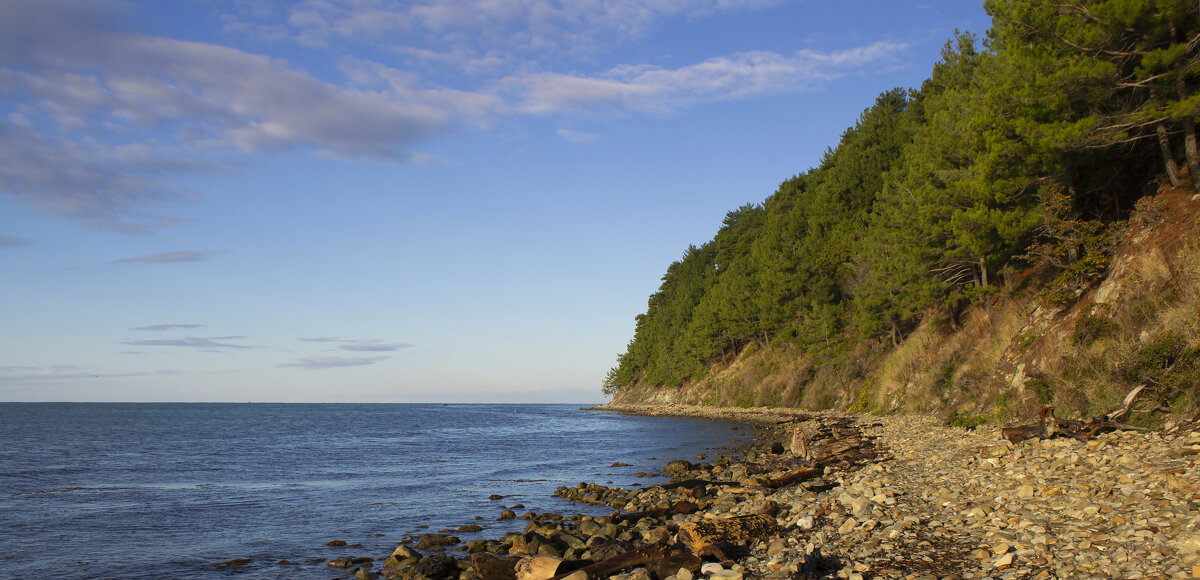 Черное море. - Александр 