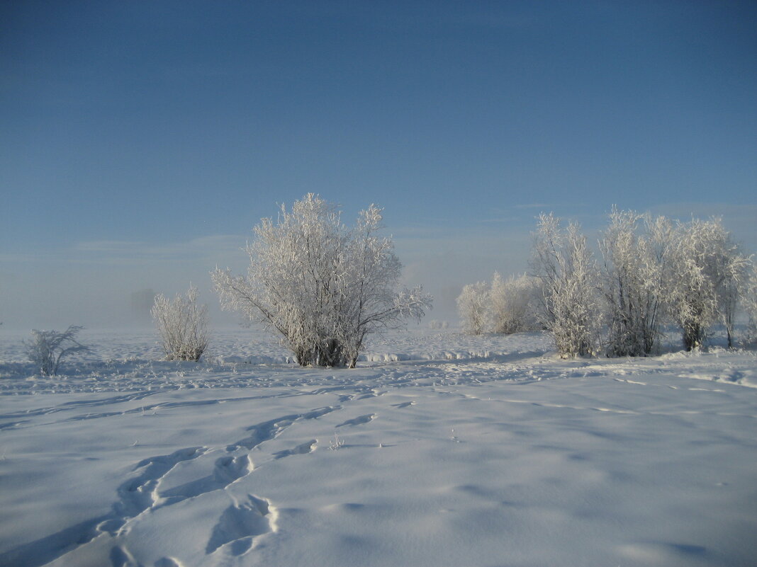 Зима - Anna Ivanova