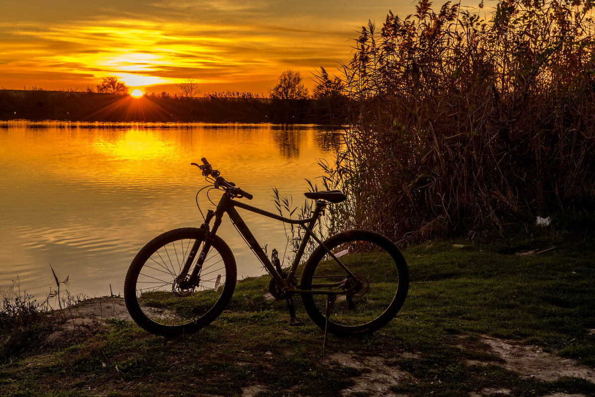 Верный друг. - Сергей Воротников