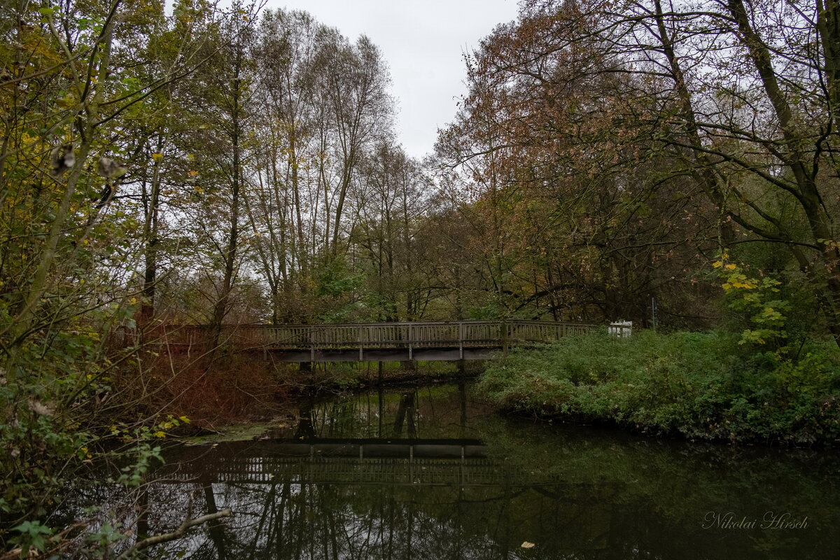 *** - Николай Гирш