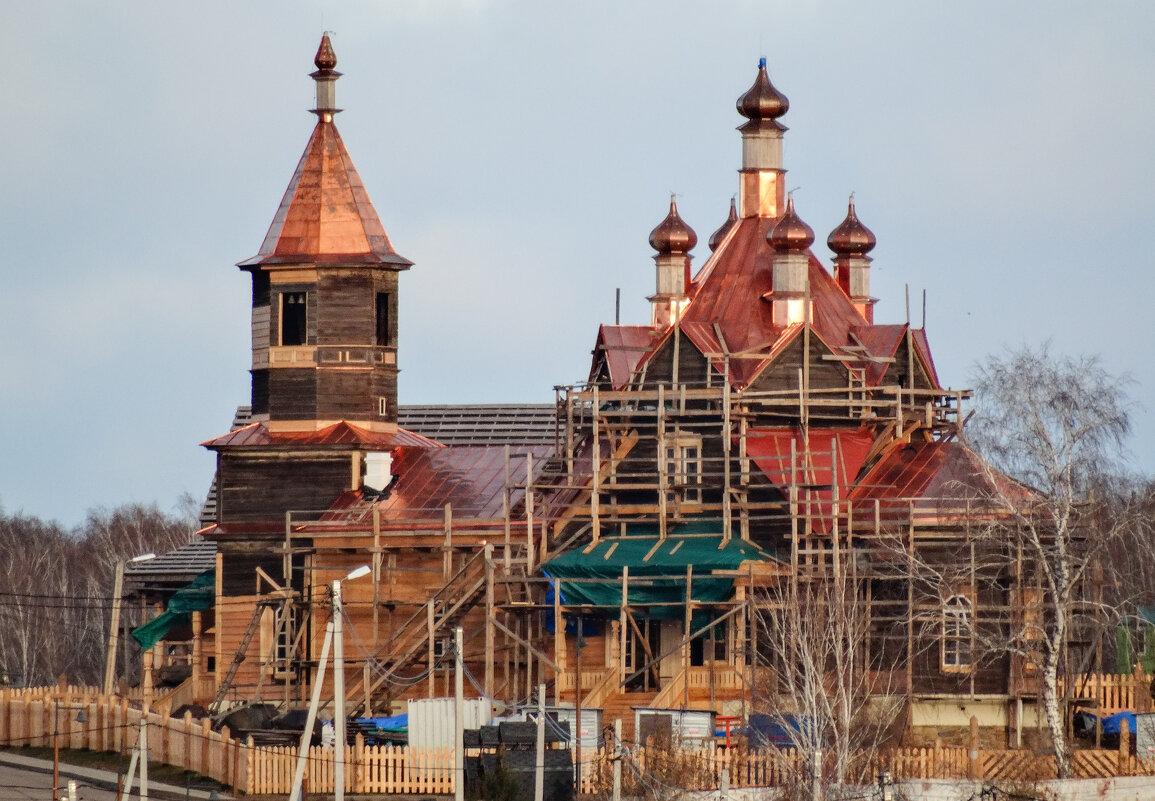 Возрождение - Владимир Звягин