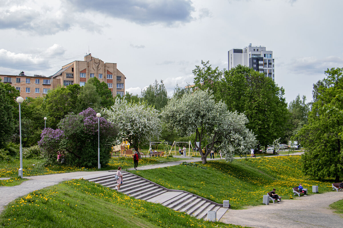 парк 50-летия пионерской организации - navalon M