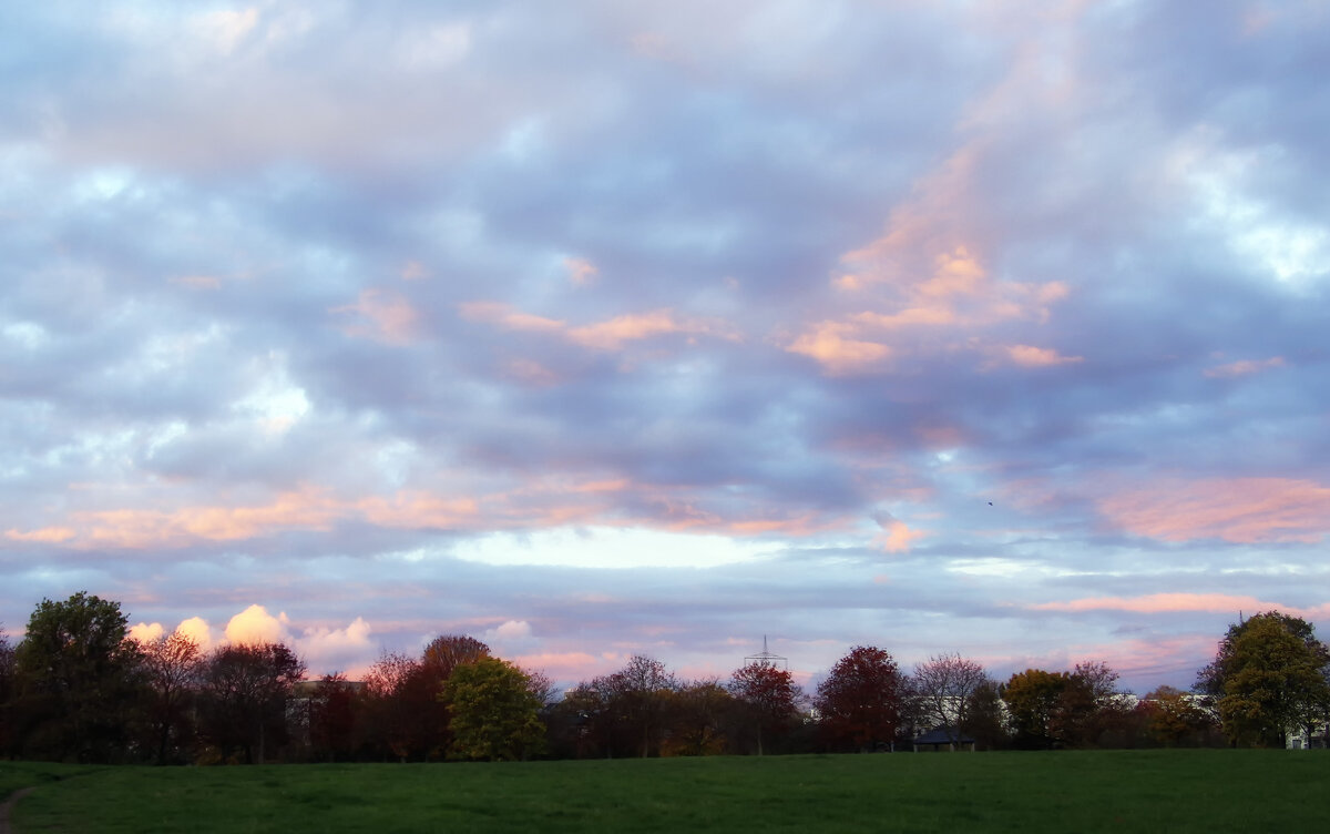 ***** - Андроник Александр 