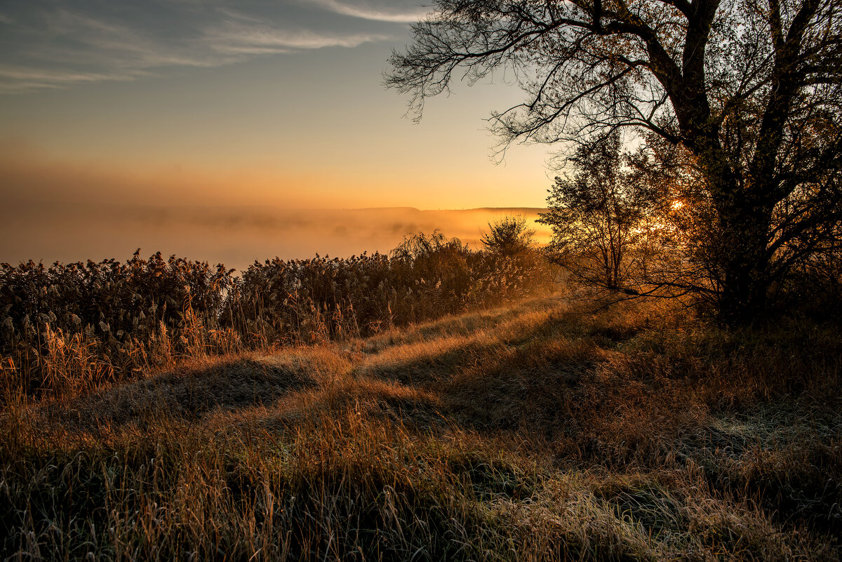 Рассвет. - Сергей Воротников