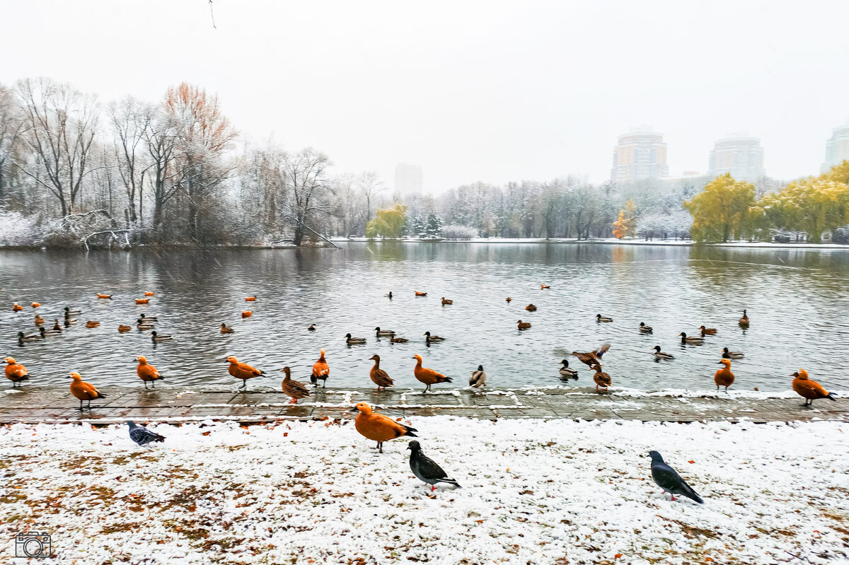 У берега - Александр 