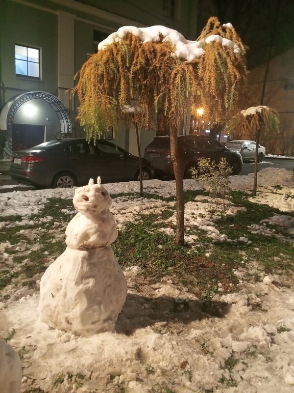 Снеговик и лиственница - Сапсан Снеговик и лиственница - Сапсан