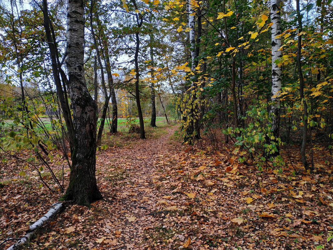 Так наступил октябрь 2023 - Андрей Лукьянов