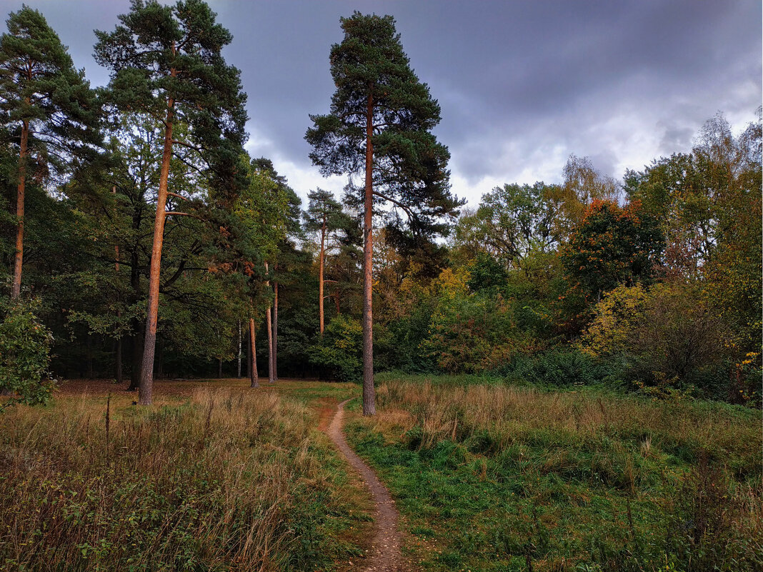 Так наступил октябрь 2023 - Андрей Лукьянов